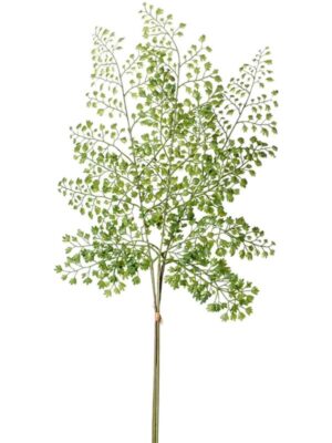 Adianthum spray bundle green W15 H58 см