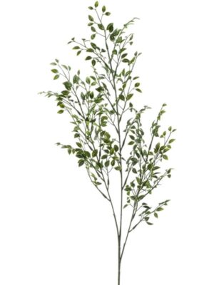 Boxwood spray W12 H75 см