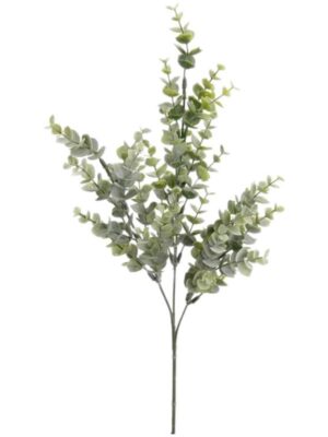 Eucalyptus bridge spray W14 H68 см