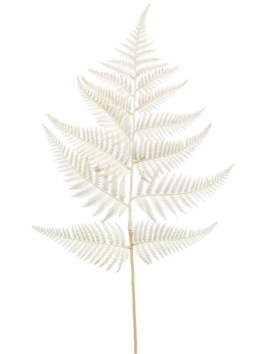 Fern spray cream W28 H80 см