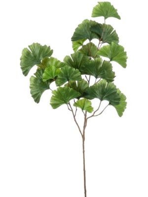 Ginkgo spray green W35 H88 см