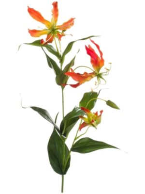 Gloriosa spray orange W20 H75 см