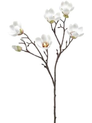 Magnolia mini branch cream W25 H65 см