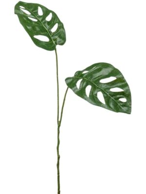 Monkey leaf spray W25 H50 см