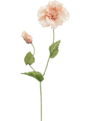Poppy beige H75 см