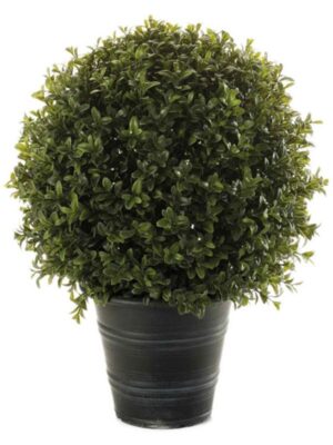 Boxwood ball in plastic pot (uv) W30 H42 см