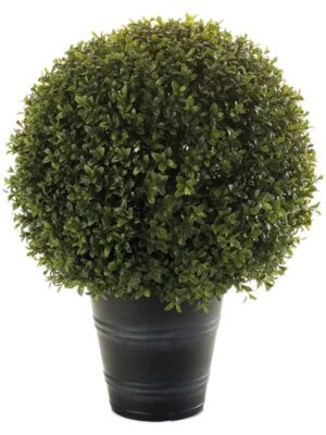 Boxwood ball in plastic pot (uv) W40 H53 см