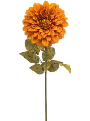 Dahlia giant orange W22 H95 см