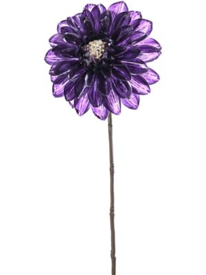 Dahlia glamour purple W15 H60 см