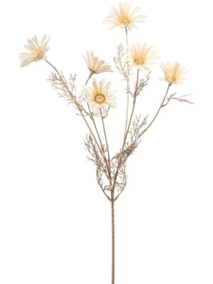 Daisy cream W19 H80 см