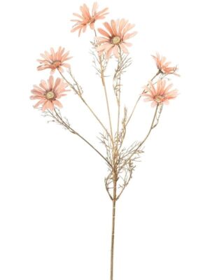 Daisy peach W19 H80 см
