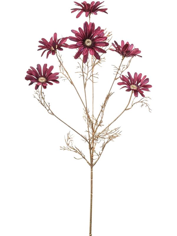 Daisy purple W19 H80 см