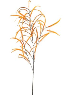Eucalyptus light orange W35 H100 см