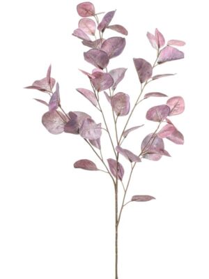 Eucalyptus purple W30 H93 см
