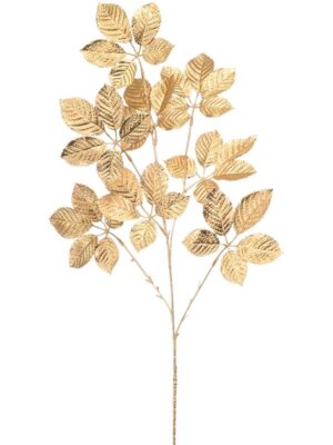 Fagus gold W33 H90 см