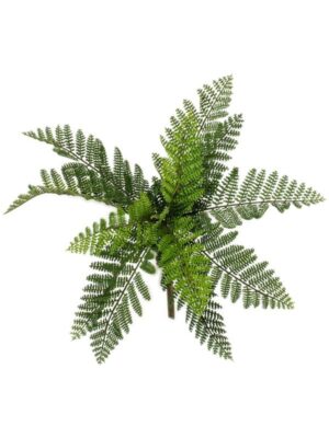 Forrest fern bush (12 lvs. fr) W30 H25 см