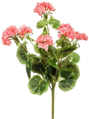 Geranium pink busch (uv) W28 H47 см