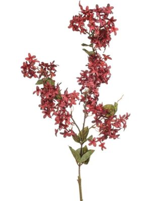 Jasmine burgundy W30 H115 см