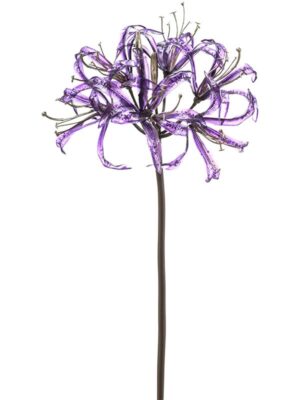 Nerine glamour purple W18 H75 см