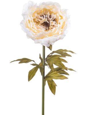 Peony giant cream (knock-down) W25 H115 см