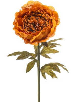 Peony giant orange (knock-down) W25 H115 см