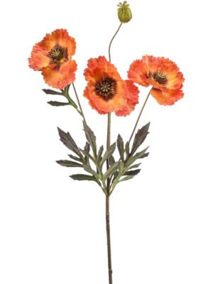 Poppy orange W23 H68 см