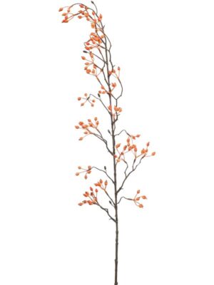 Rosehip mini vine orange W15 H105 см