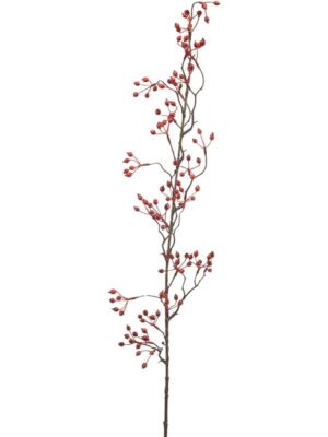 Rosehip mini vine red W15 H105 см