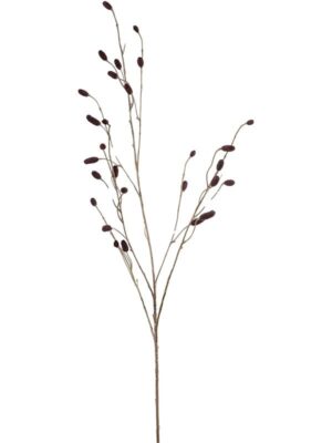 Sanguisorba burgundy W40 H105 см