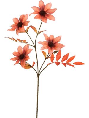 Dahlia flower brown H65 см