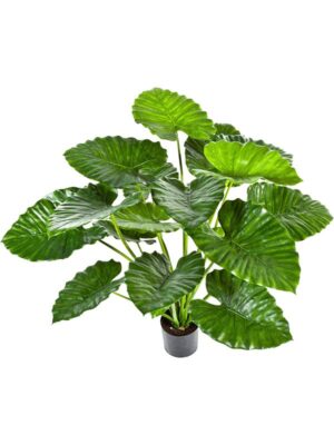 Алоказия Калидора искусственная H95 D17 см