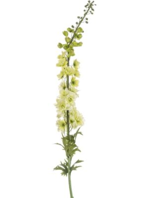 Delphinium spray xl lt green W12 H130 см