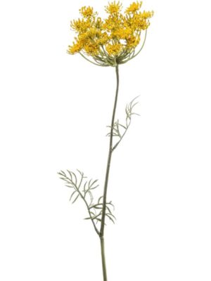 Dill spray W15 H67 см