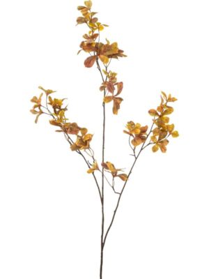 Foliage yellow H110 см