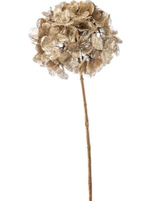 Hydrangea gold H65 см
