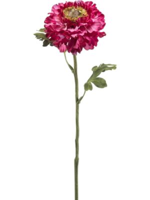 Ranunculus spray beauty W10 H60 см