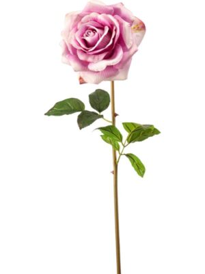 Rose chloe light purple rt H68 см