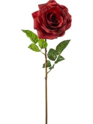 Rose chloe red rt H68 см