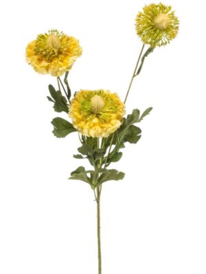 Scabiosa spray rt yellow W10 H78 см